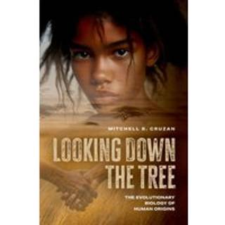 Looking Down the Tree