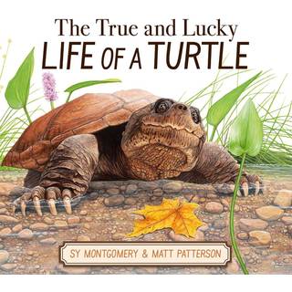 The True and Lucky Life of a Turtle