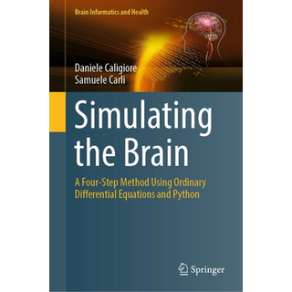 Simulating the Brain