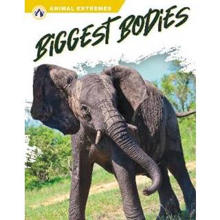 Biggest Bodies