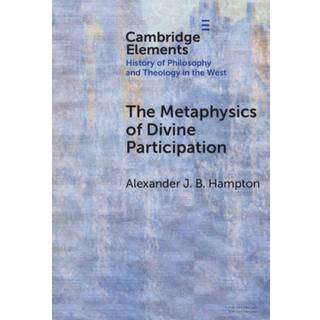 The Metaphysics of Divine Participation
