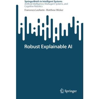 Robust Explainable AI