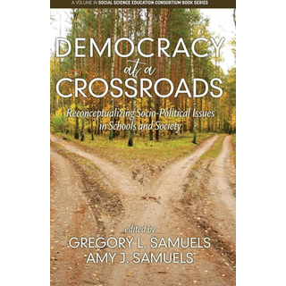 Democracy at a Crossroads