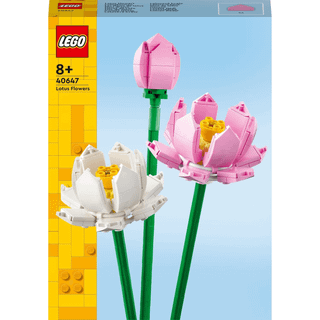 40647 - Lotusblomster