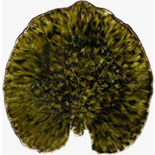 Costa nova Riviera Alchemille Serveringsfad 17 cm