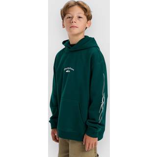 Quiksilver Stretch Tribal Kids Hættetrøje - T16 - botanical garden