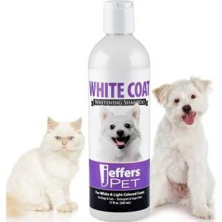 Jeffers White Coat Pet Shampoo til hunde Katte og sm? dyr 17 oz - S?befri koncentreret formel til hvide og lette pelser B?rduftende Sikker til al