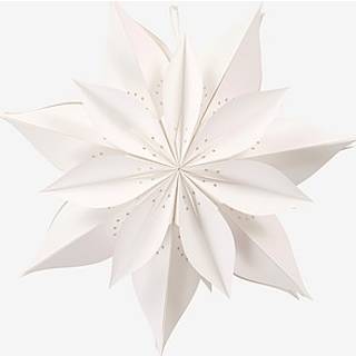 POINSETTIA julestjerne - Hvid