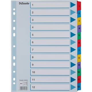 ESSELTE Register Esselte Mylar A4 1-12 flerfarve 100162