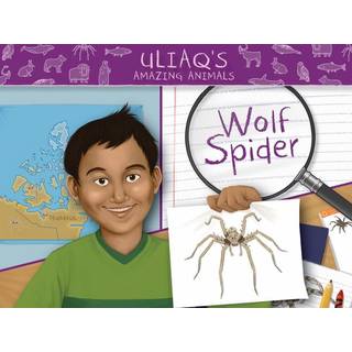 Uliaq's Amazing Animals: Wolf Spider