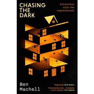 Chasing the Dark