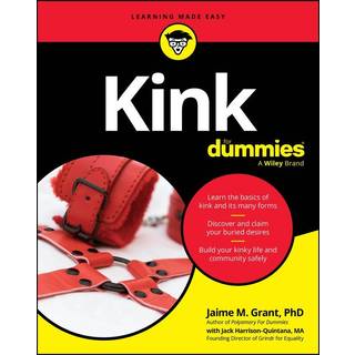 Kink For Dummies