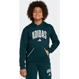 adidas adidas Green Essentials Collegiate Kids Hoodie