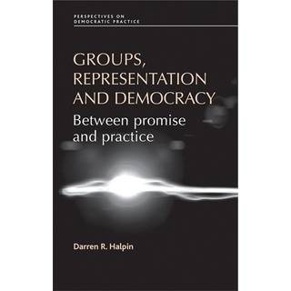 Groups, Representation and Democracy