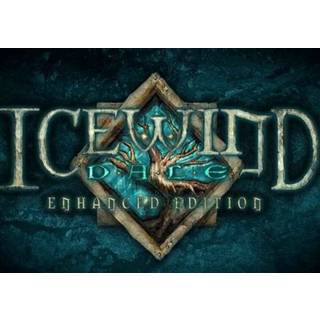 Icewind Dale: Enhanced Edition (PC) Steam Key - GLOBAL