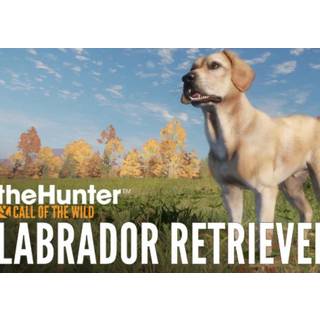 theHunter: Call of the Wild - Labrador Retriever(DLC) (PC) Steam Gift - GLOBAL