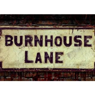 Burnhouse Lane (PC) Steam Key - GLOBAL