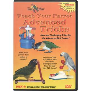 Feathered Phonics Teach Your Parrot Series DVD 4: Advanced Tricks