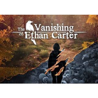 The Vanishing of Ethan Carter (PC) Steam Key - GLOBAL