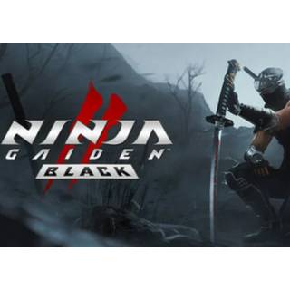 NINJA GAIDEN 2 Black (PC) Steam Account - GLOBAL