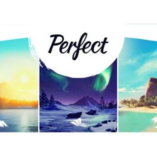 Perfect (PC) Steam Key - EU