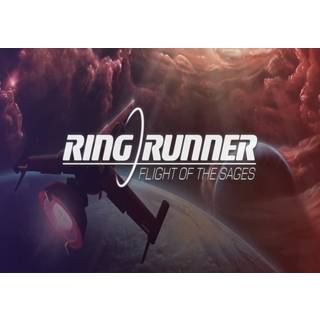 Ring Runner: Flight of the Sages (PC) Steam Key - GLOBAL