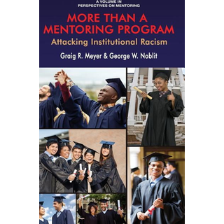 More Than a Mentoring Program