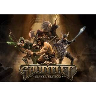 Gauntlet - Slayer Edition (PC) Steam Key - GLOBAL
