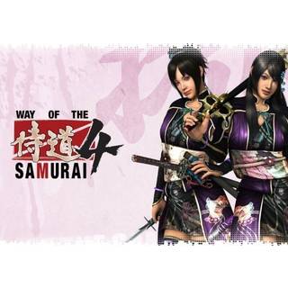 Way of the Samurai 4 (PC) Steam Gift - EU