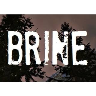 Brine (PC) Steam Key - GLOBAL