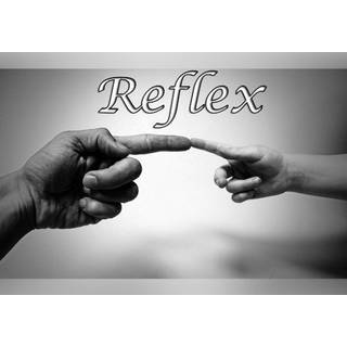 Reflex (PC) Steam Key - GLOBAL