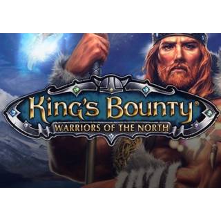 King's Bounty: Warriors of the North - Ice and Fire (DLC) (PC) Steam Key - GLOBAL