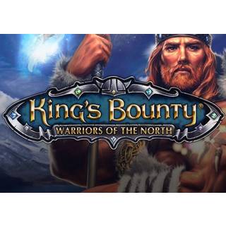 King's Bounty: Warriors of the North Steam Key GLOBAL