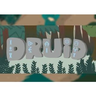 Druid (PC) Steam Key - GLOBAL