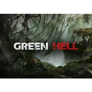 Green Hell (PC) Steam Gift - EU