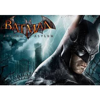 Batman: Arkham Asylum Game of the Year Edition (PC) Steam Gift - GLOBAL