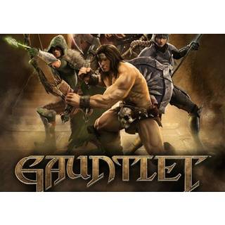 Gauntlet Slayer Edition (PC) - Steam Key - GLOBAL