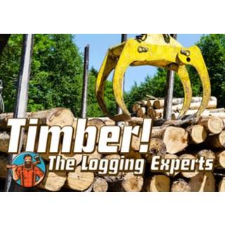 Timber! The Logging Experts (PC) Steam Key - GLOBAL