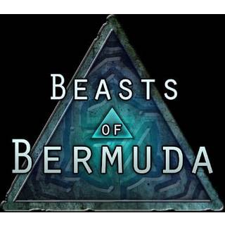 Beasts of Bermuda (PC) Steam Gift - GLOBAL