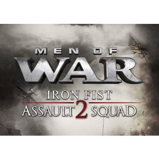 Men of War: Assault Squad 2 - Iron Fist (DLC) (PC) Steam Key - GLOBAL