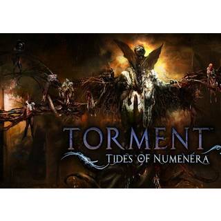 Torment: Tides of Numenera (PC) Steam Key - GLOBAL