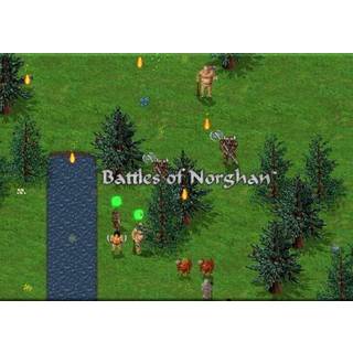 Battles of Norghan (PC) Steam Key - GLOBAL
