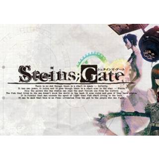 Steins;Gate (PC) Steam Gift - EU