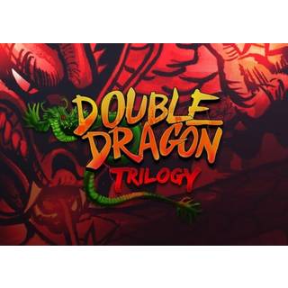 Double Dragon Trilogy (PC) Steam Key - GLOBAL