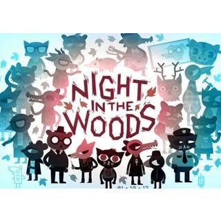 Night in the Woods (PC) Steam Gift - GLOBAL