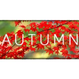 Autumn (PC) Steam Key - GLOBAL