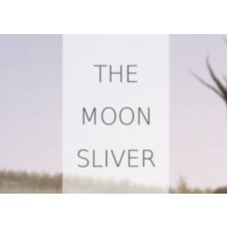 The Moon Sliver (PC) Steam Key - GLOBAL