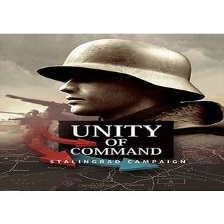 Unity of Command: Stalingrad Campaign (PC) Steam Key - GLOBAL