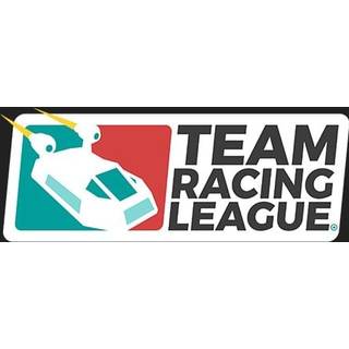 Team Racing League (PC) Steam Key - GLOBAL