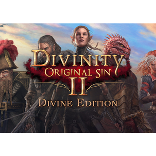 Divinity: Original Sin 2 Divine Edition (PC) Steam Account - GLOBAL